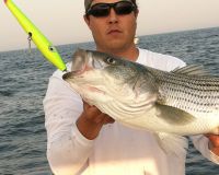 jersey devil fishing 1 20200528