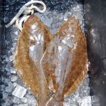 jersey devil fishing 22 20200528