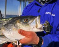 jersey devil fishing 32 20200528