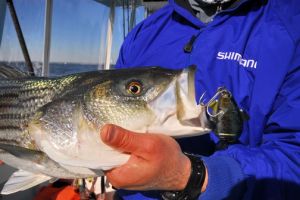 jersey devil fishing 32 20200528