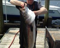 jersey devil fishing 61 20200528